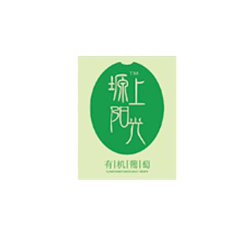 塬上陽光